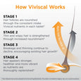 Viviscal Men's Hair Growth Supplement – 60 Tablets