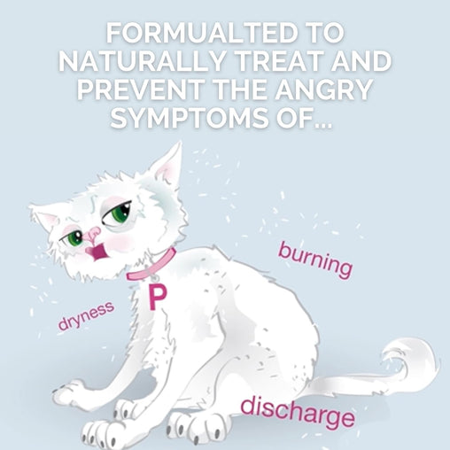 Provacare Probiotic Vaginal Care - 14 Ovules with Applicators