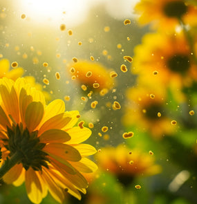 Seasonal Allergy Products