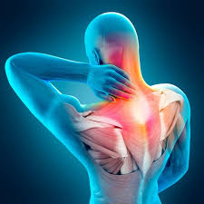 Muscle & Joint Pain Relief