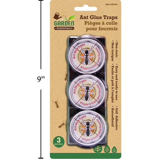 Garden Ant Glue Traps - 6 Count