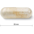 Jamieson Probiotic 30 Billion