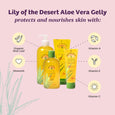 Lily of the Desert Aloe Vera Gelly Soothing Moisturizer - 8 oz