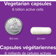 Webber Naturals Acidophilus Bifidus with FOS, 6 Billion Active Cells, 180 Vegetarian Capsules