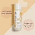 The Honest Company Refresh Conditioner Citrus Vanilla Scent, 295 mL