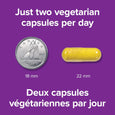Webber Naturals Berberine 500 mg, 60c