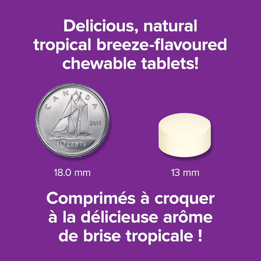 Webber Naturals Vitamin C Chewable 500 mg, 300 t, Tropical Breeze