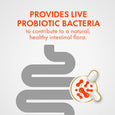 Align Probiotic Digestive Support, 42 Capsules