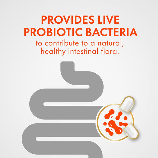 Align Probiotic Digestive Support, 42 Capsules