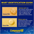 Compound W Freeze Off, Maximum Strength Wart Remover System - 12 Count