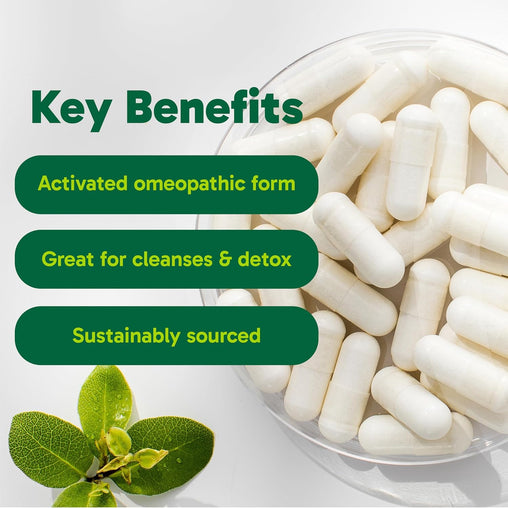 Organika Activated Charcoal, 90 Vegetarian Capsules