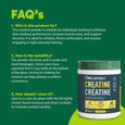 Organika Creatine Micronized Monohydrate Powder – 500 g