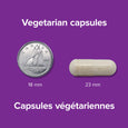 Webber Naturals Ashwagandha + Magnesium - 120 Vegetarian Capsules
